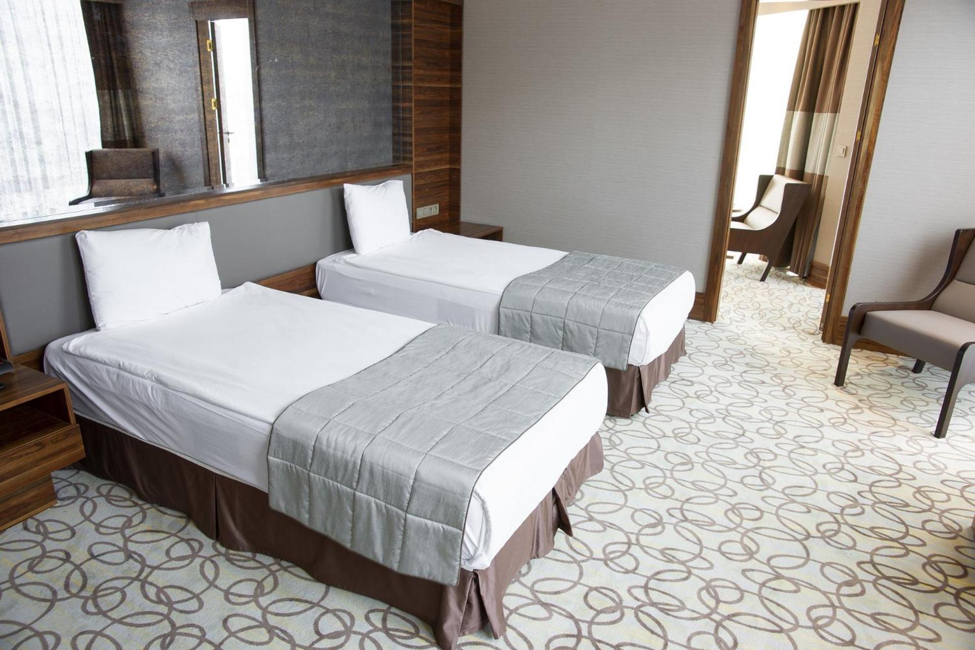 Eddission View Near Delhi Airport Hotel 3*
